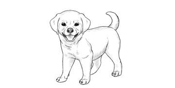 puppy images drawing