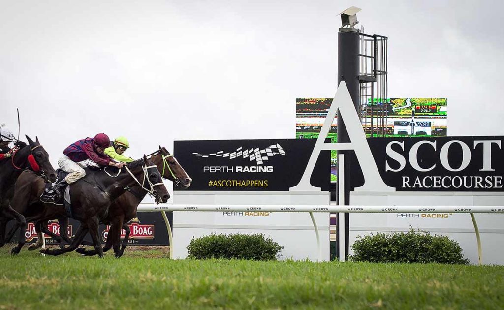 ascot australia racing results