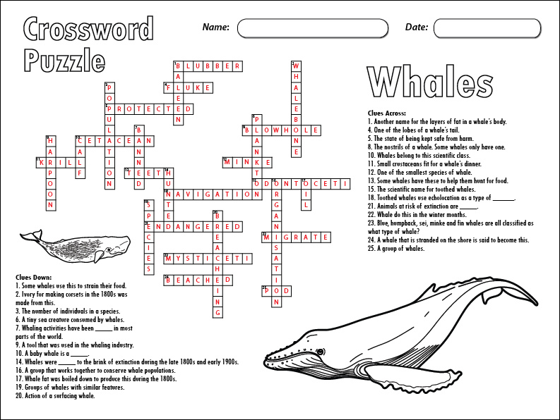 group of whales crossword clue