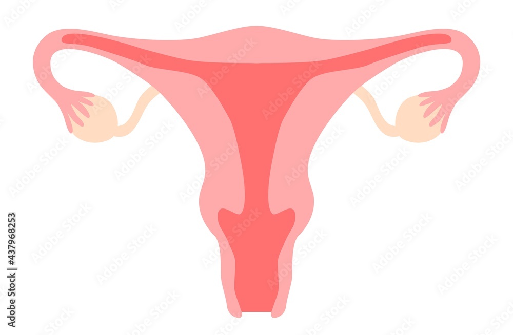 vagina clipart