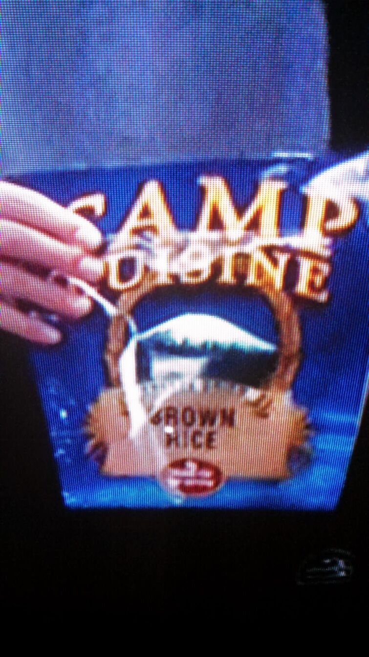 camp cuisine big bang theory