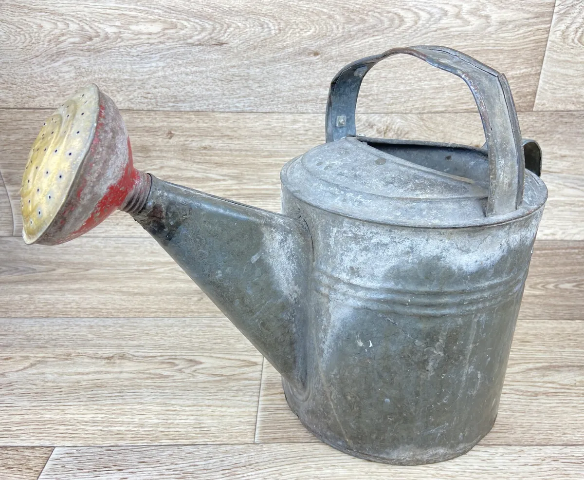 vintage metal watering can