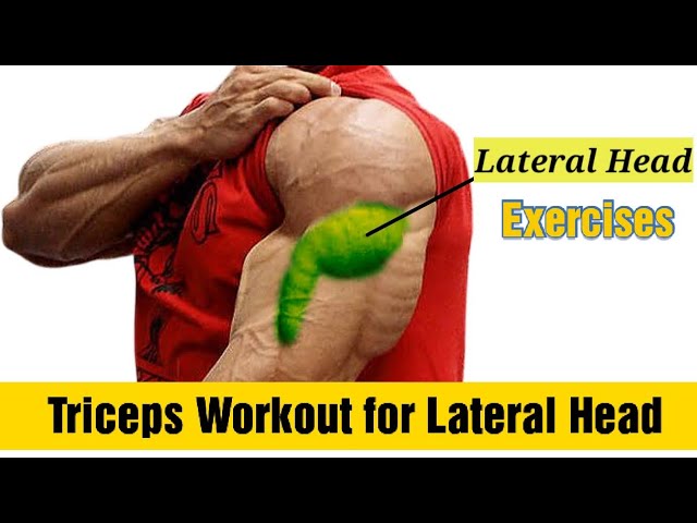 short head triceps exercises