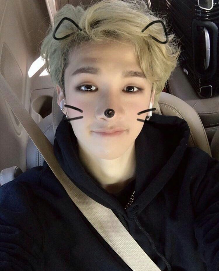 bang chan selca