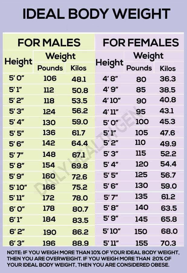 5 11 male average weight