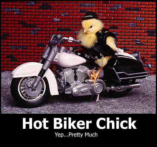 biker memes funny