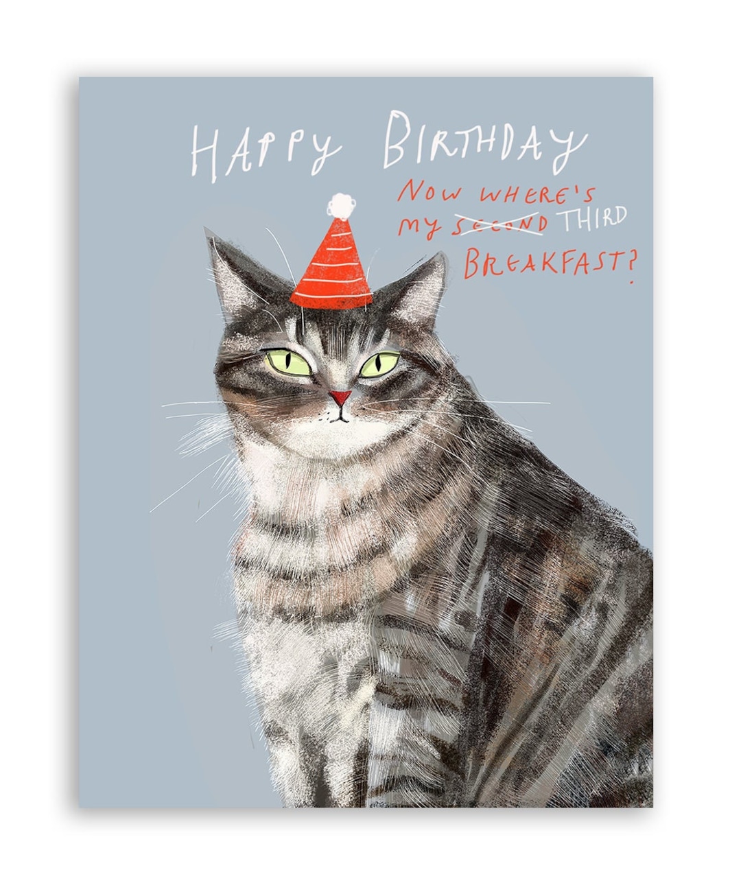 funny cat birthday pictures