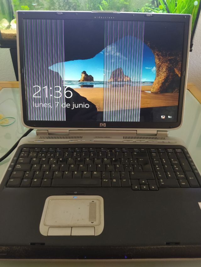 hp pavilion zd8000