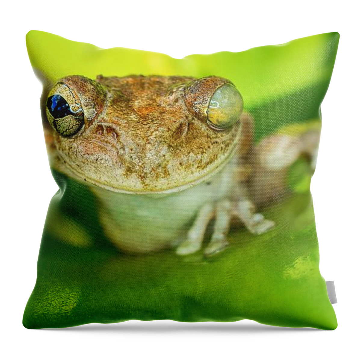 izzy green pillow