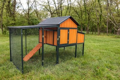 chicken coops at tractor supply