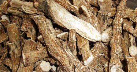 vacha root