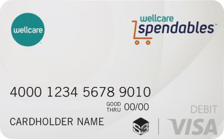 wellcare otc food card