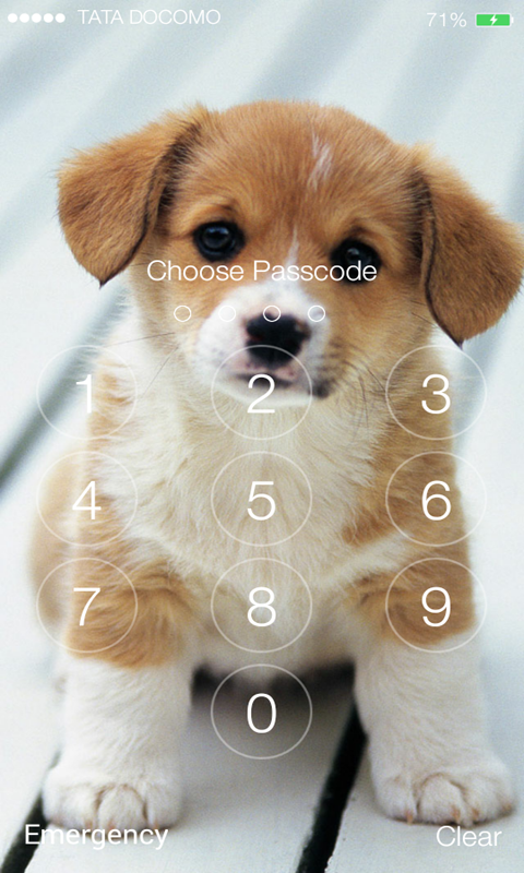 dog lockscreen