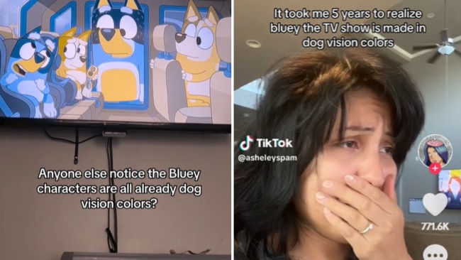 bluey colors dogs can see