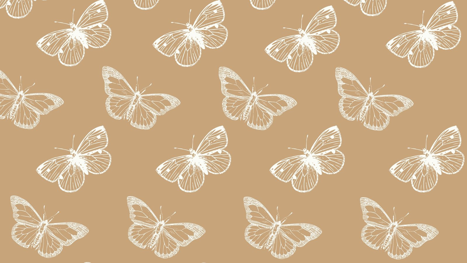 butterfly pc wallpaper