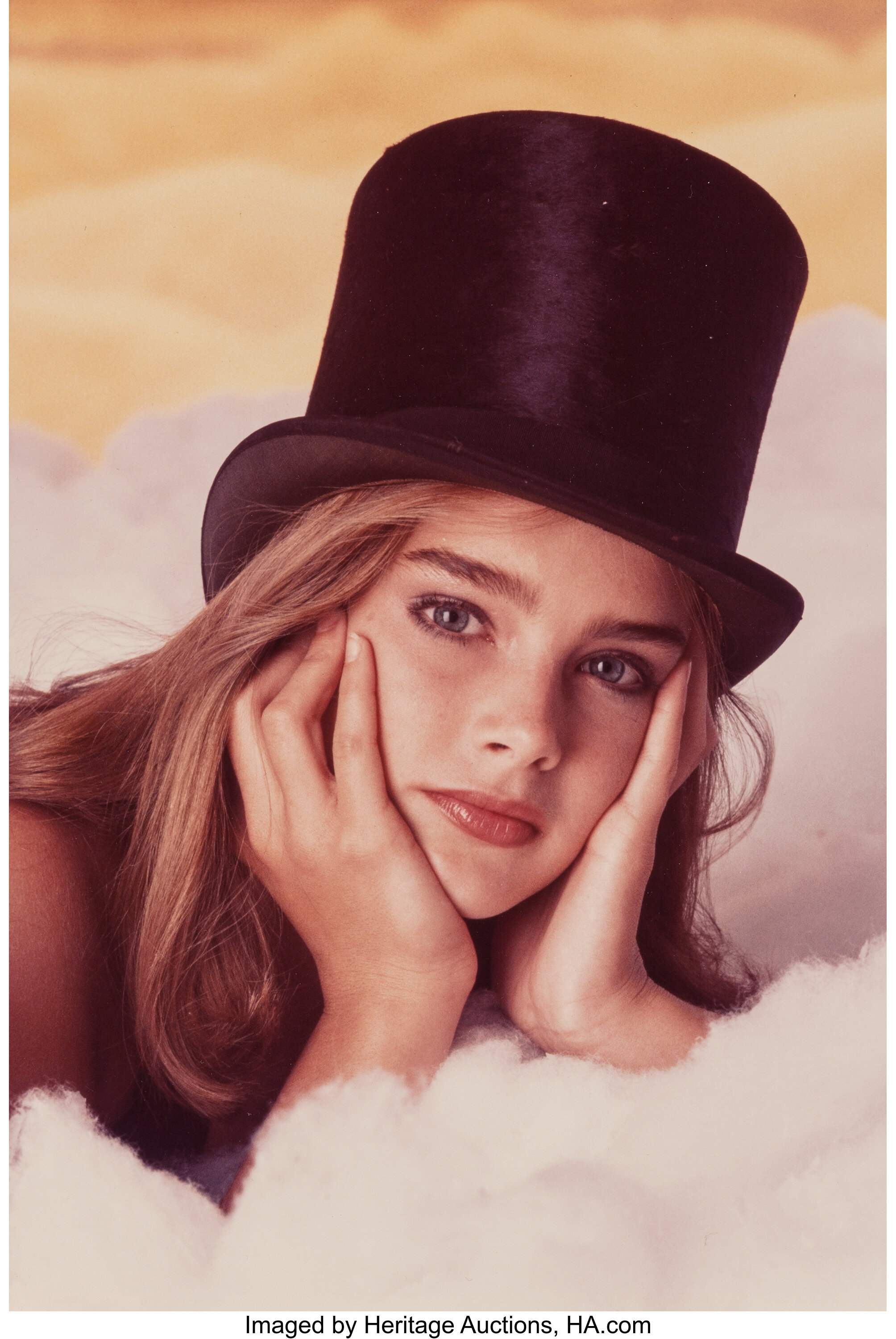 brooke shields gary gross