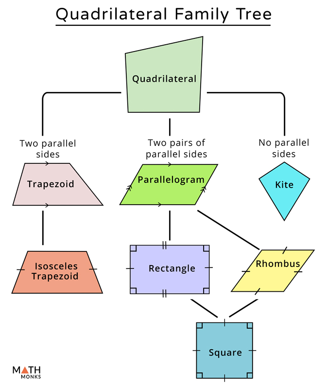 quadrilateral family tree pdf