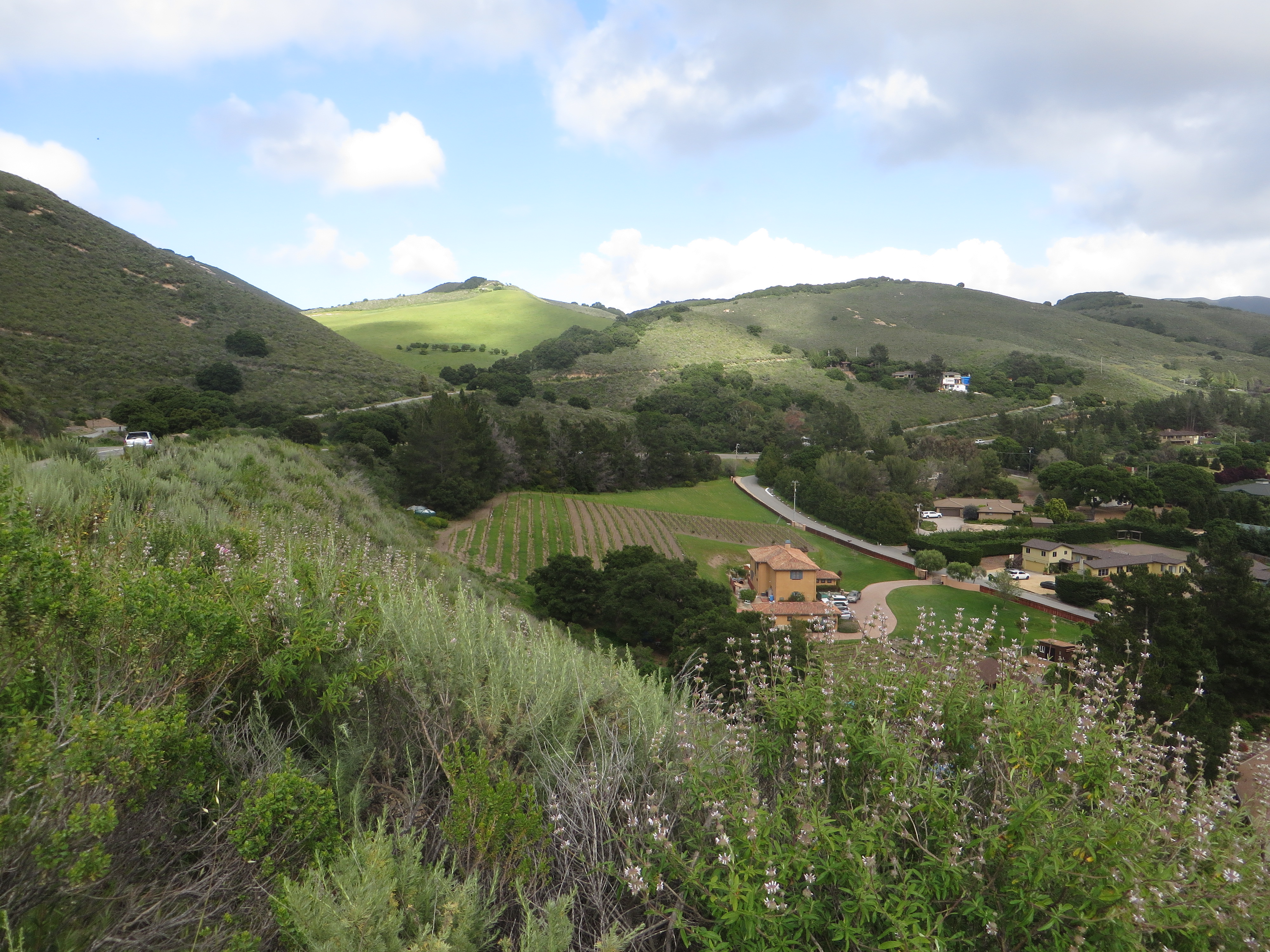 carmel valley ca 93924