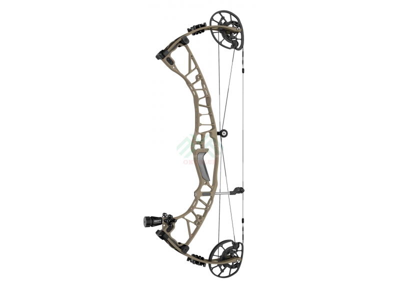 hoyt compound bow