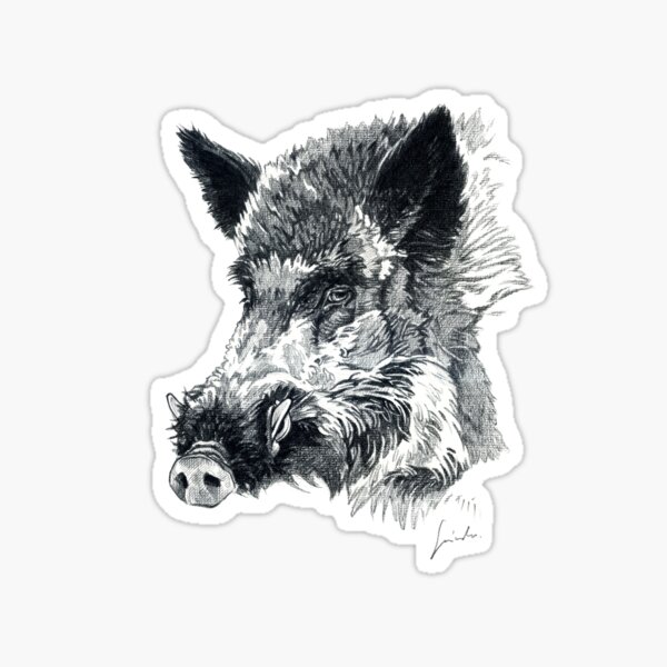 wild boar stickers