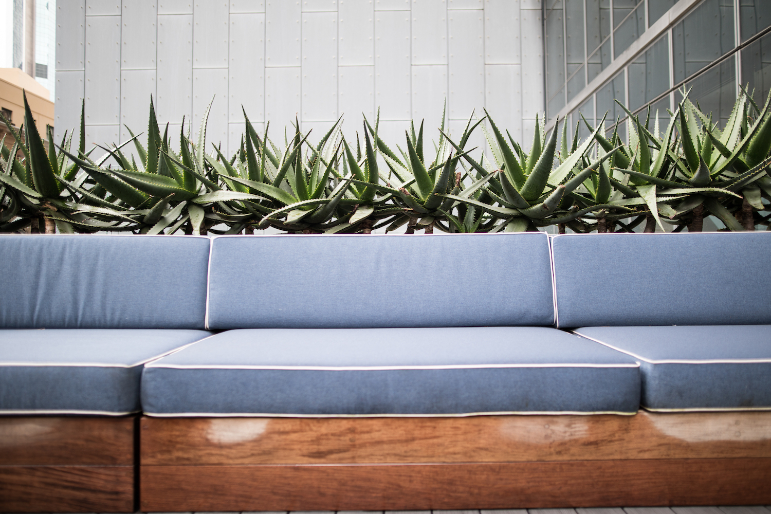 bench cushions outdoors