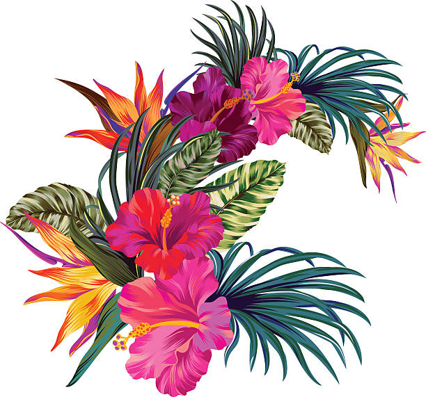 jungle flowers clipart