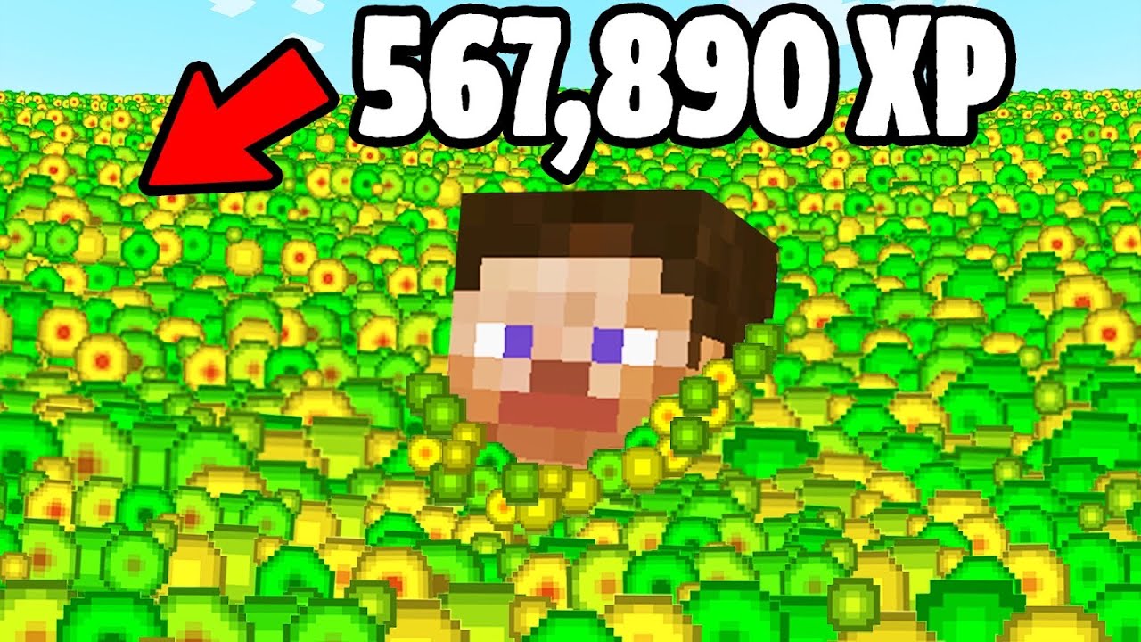 minecraft world records