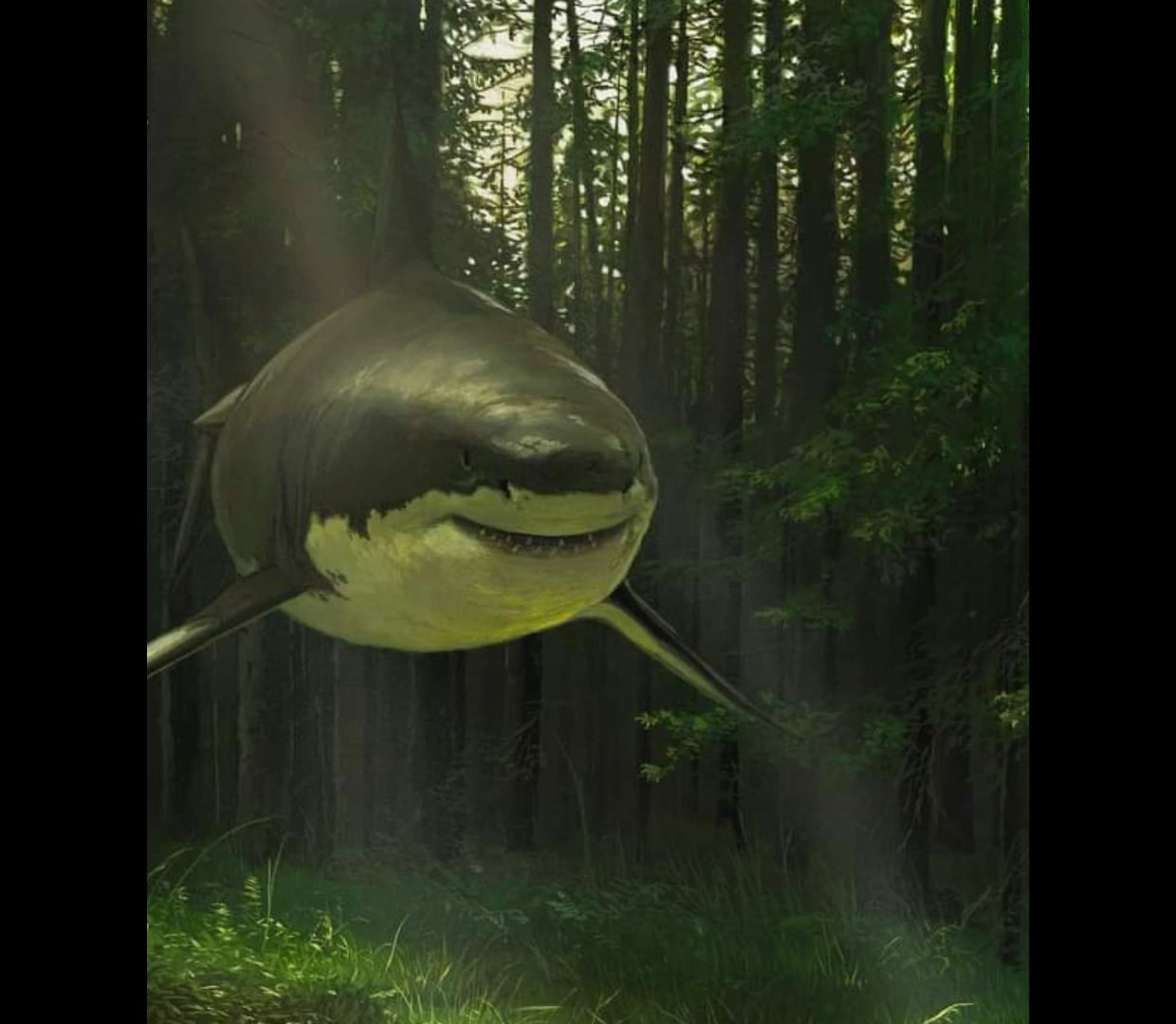 shark in a forest meme