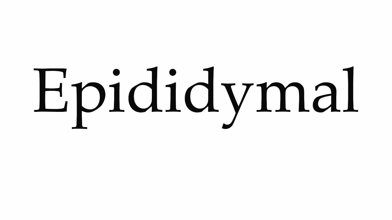 epididymal pronunciation