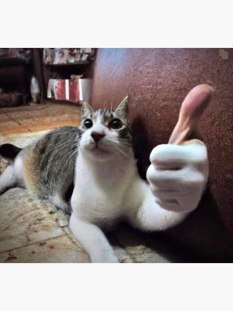 cat with thumbs up