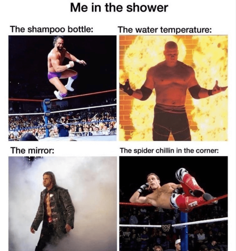wrestling meme
