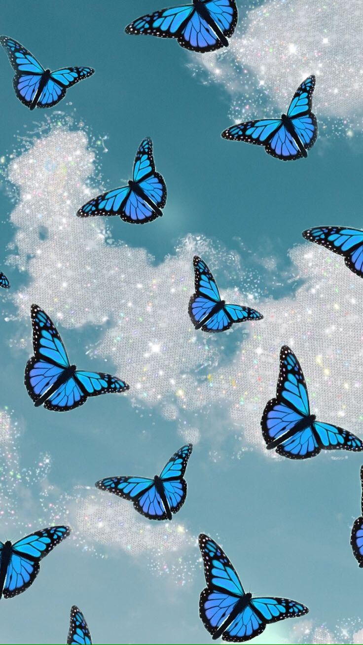 beautiful blue butterfly wallpaper