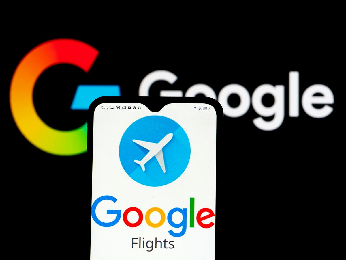 google flights search