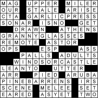 stupid crossword