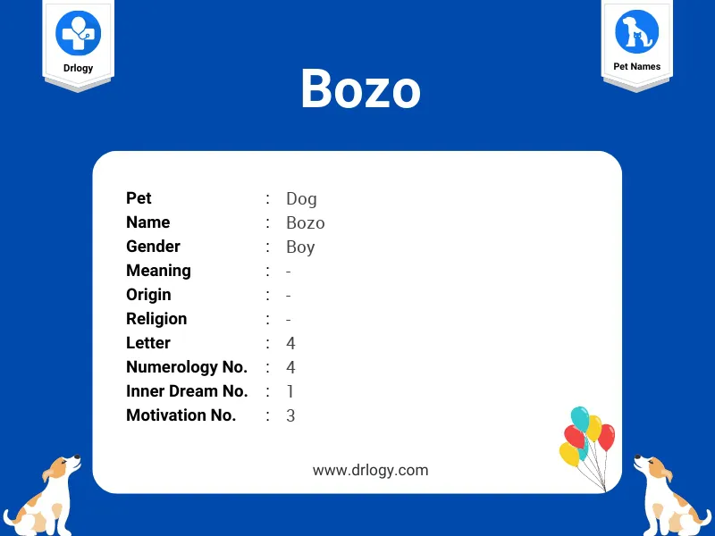 bozo meaning