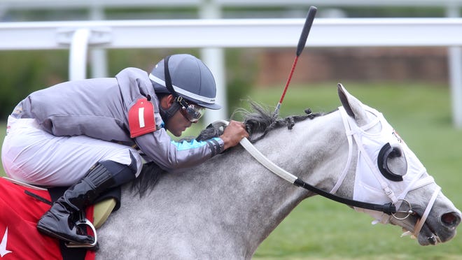 how many horses died at churchill downs this week