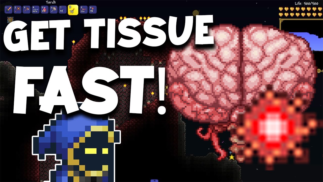 terraria tissue sample