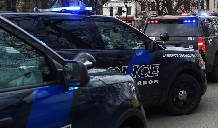 stabbing in ann arbor