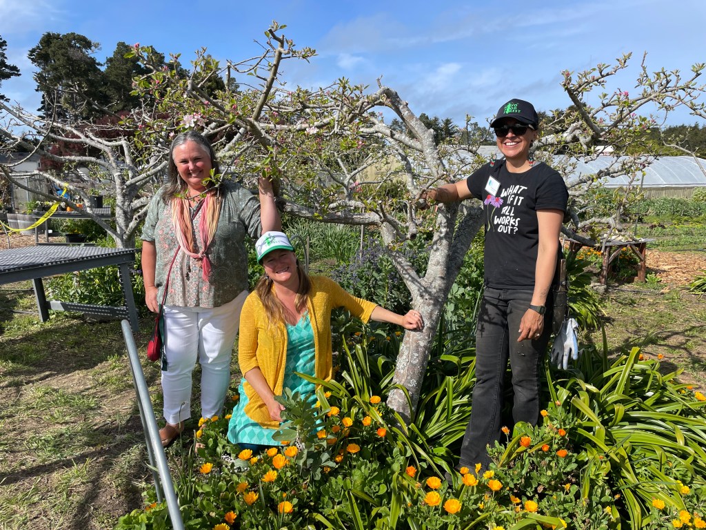 noyo food forest