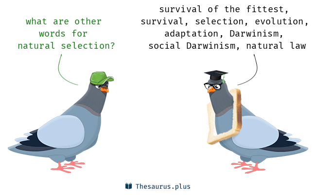 survival of the fittest synonym