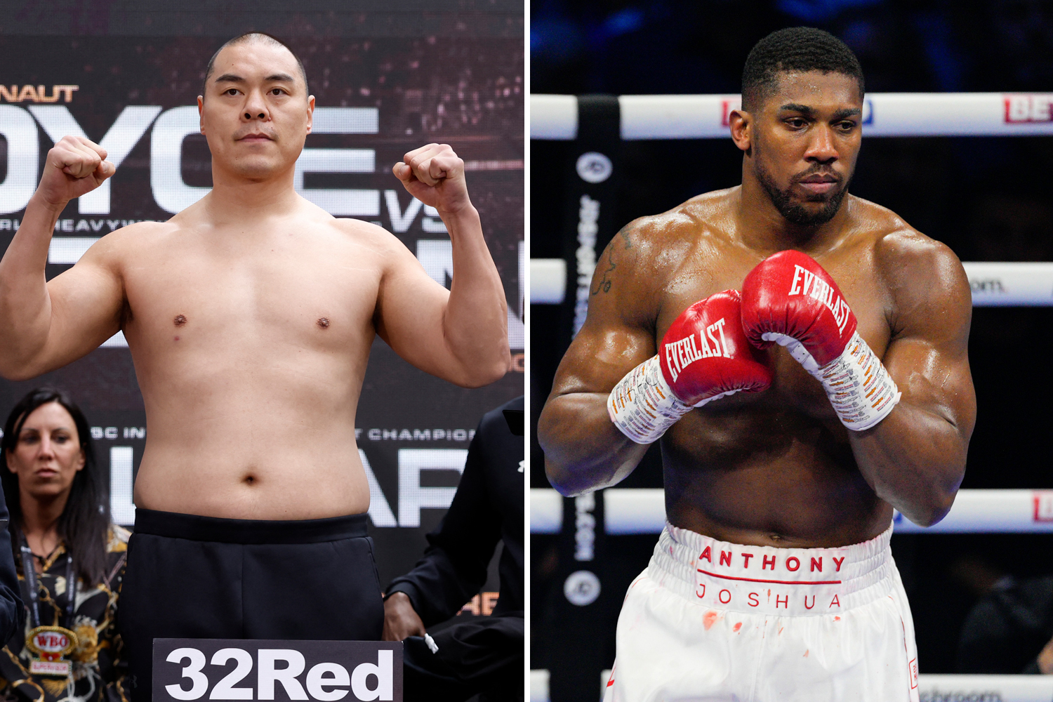 joshua vs zhang