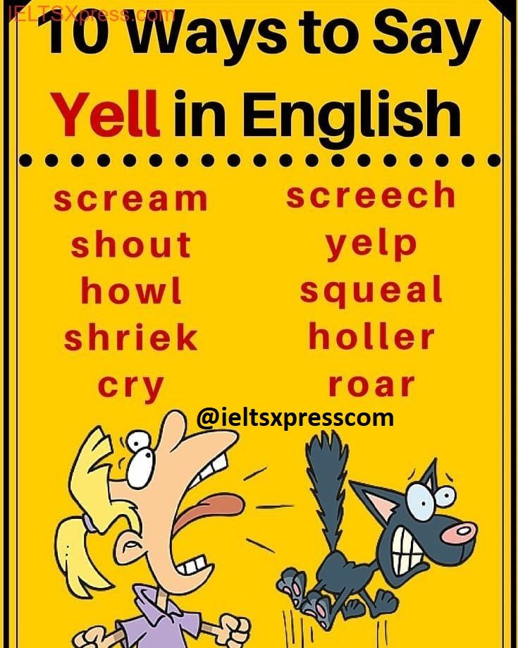 synonyms for yell