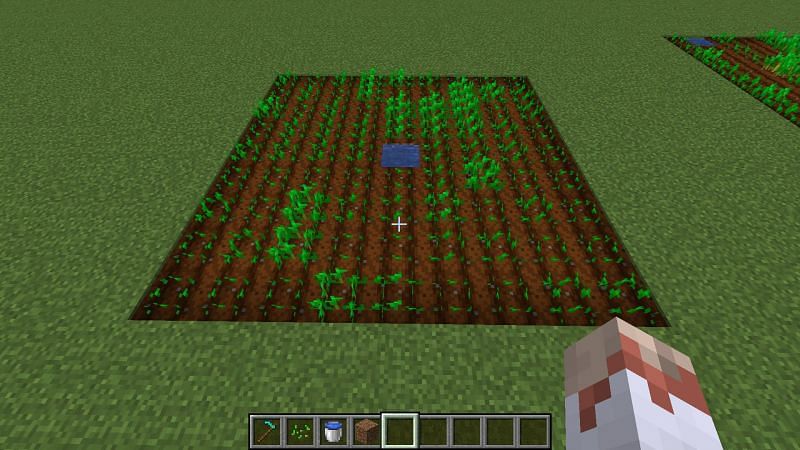 how far does water irrigate minecraft