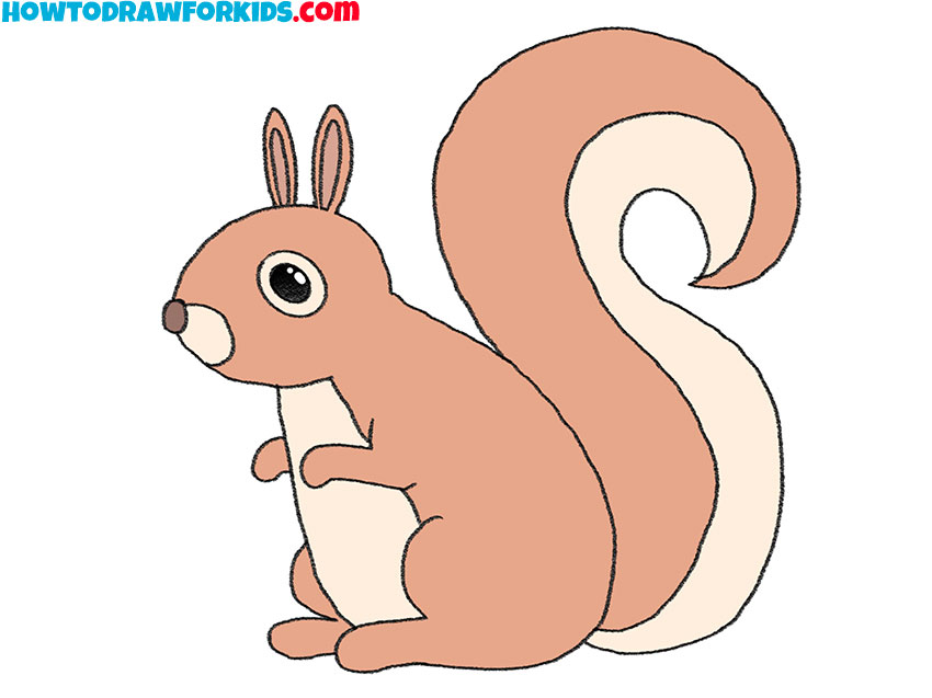 easy simple squirrel drawing