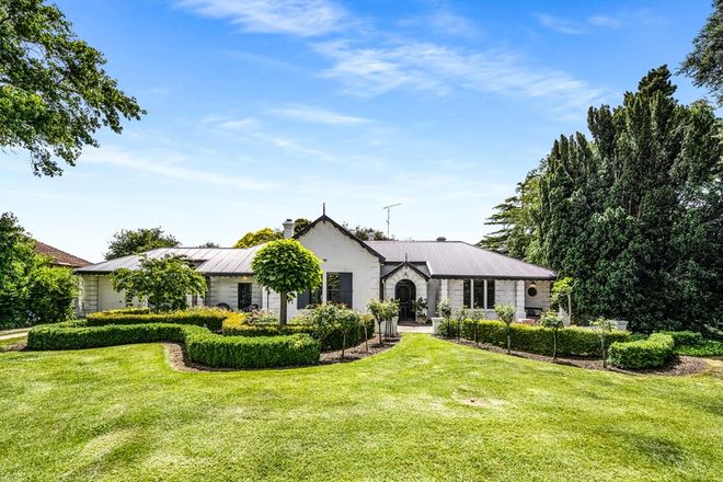 domain real estate mount gambier