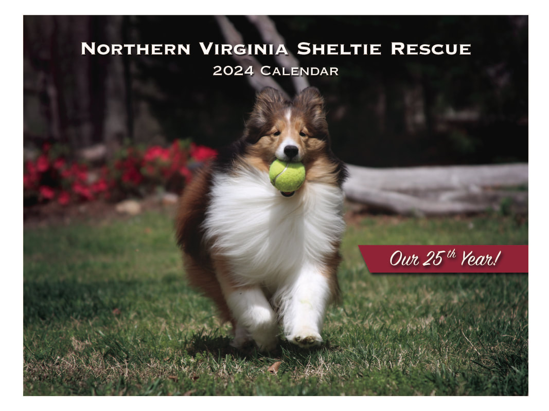 northern virginia sheltie rescue