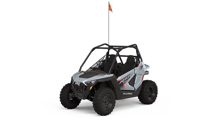 polaris rzr for sale