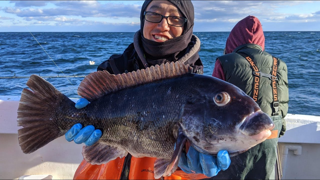 blackfish season nj
