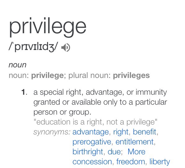 synonym to privilege