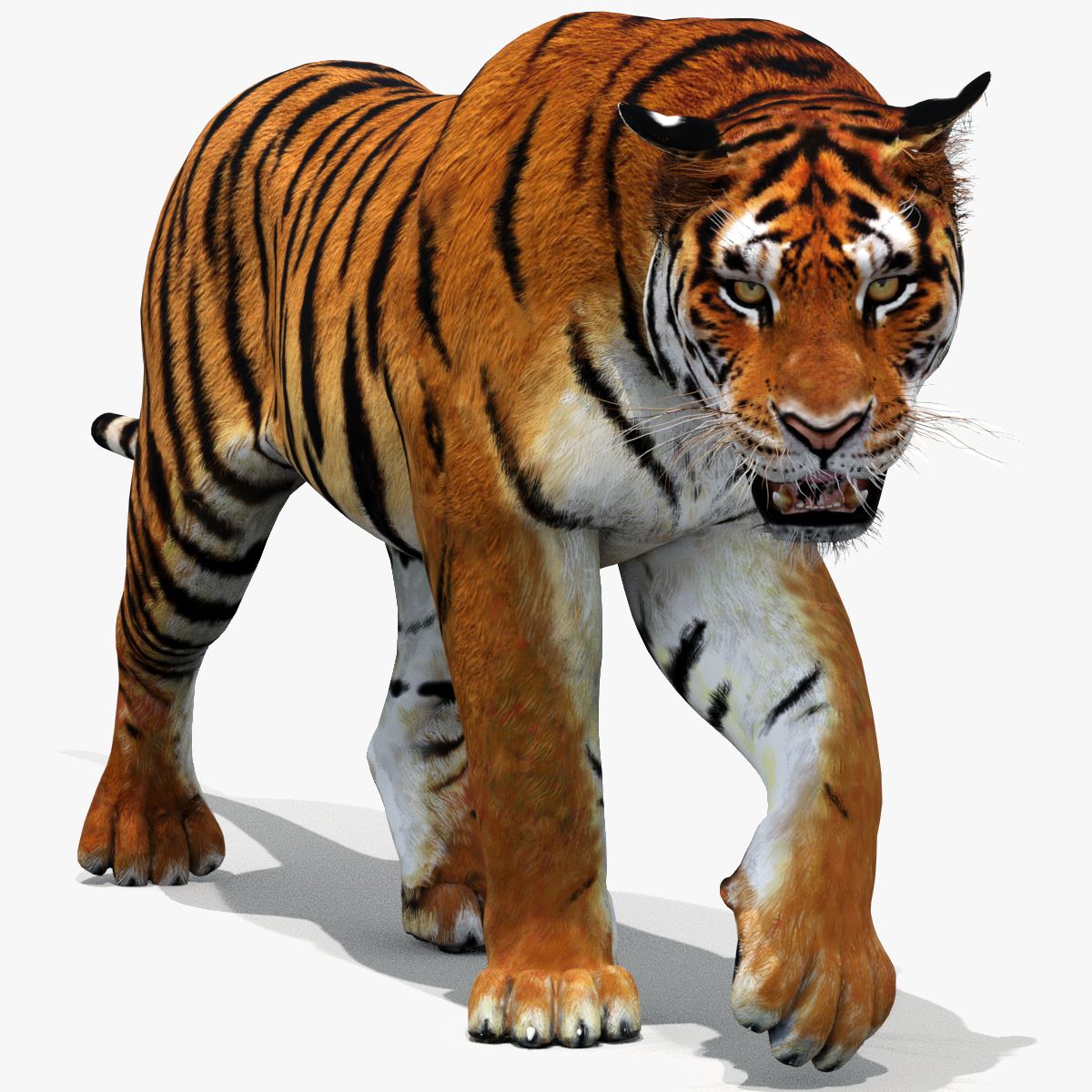 tiger3d